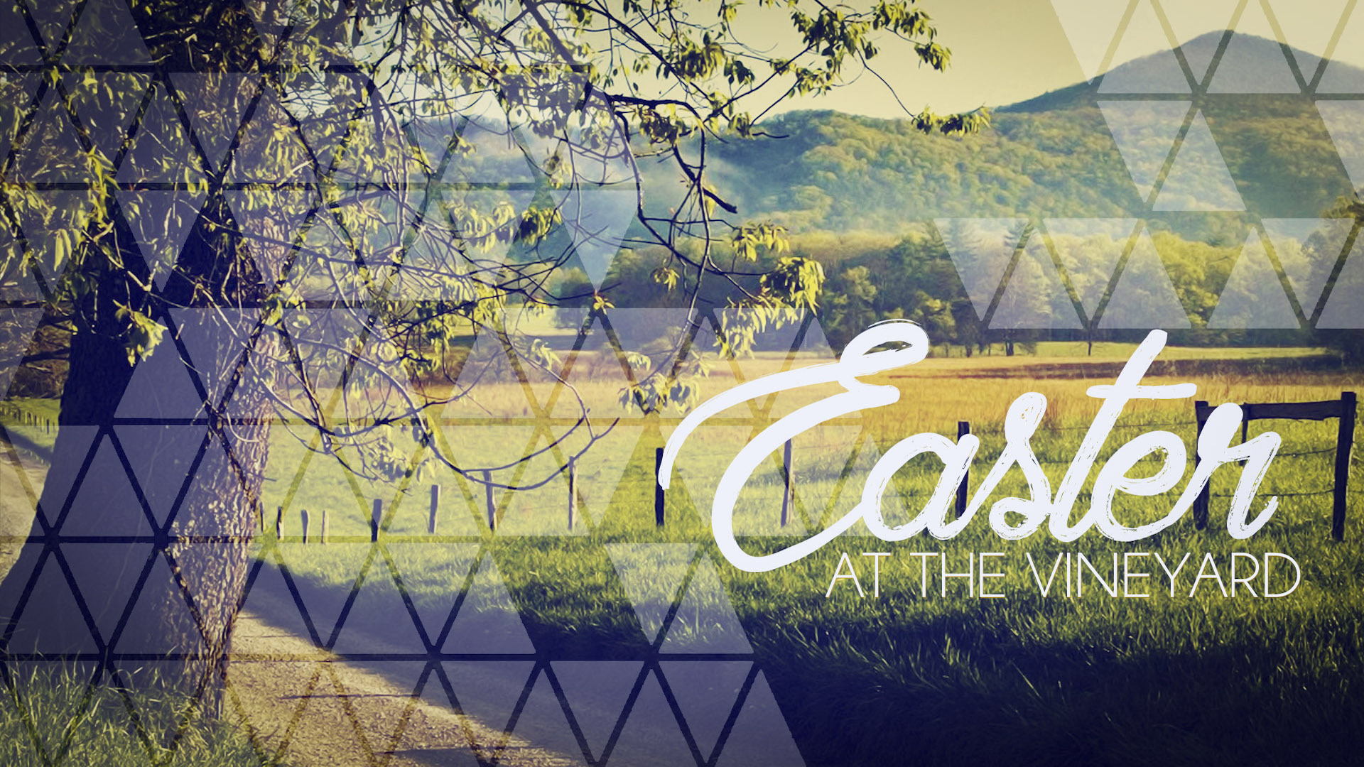 Easter at the Vineyard