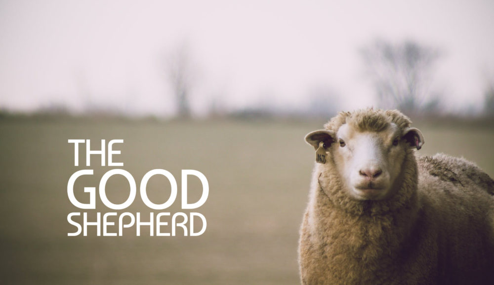 Stand Alone: The Good Shepherd