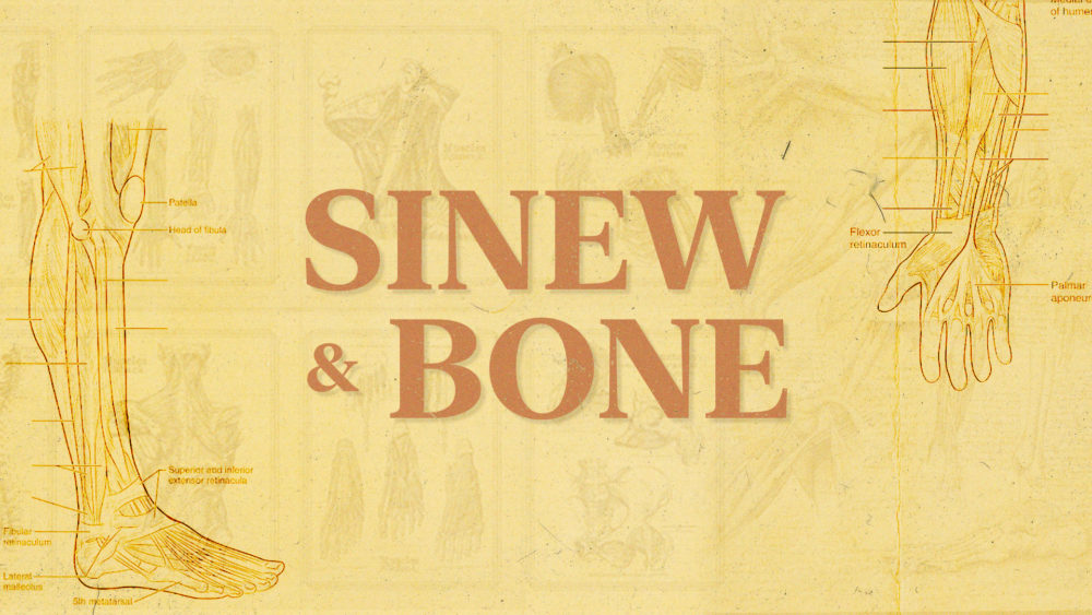 Sinew & Bone