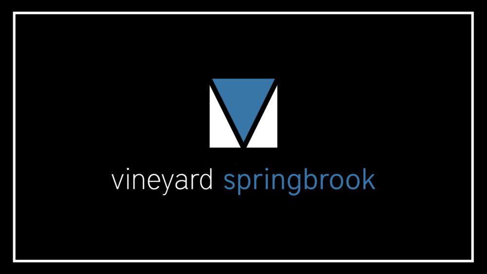 Vineyard Springbrook Classes