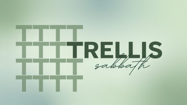 Trellis (February 2025)