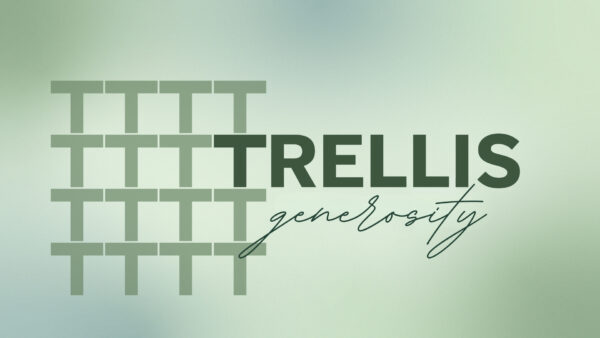 Trellis (May 2025)