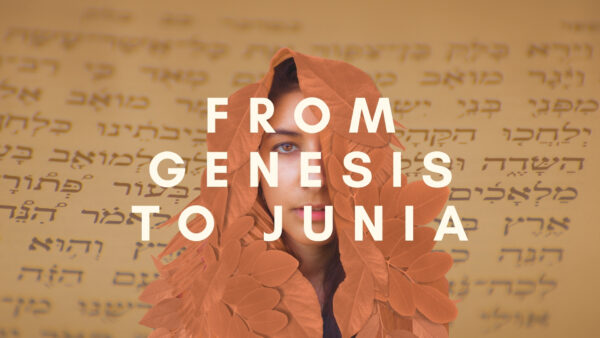From Genesis to Junia
